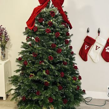 Santa & Mikey's Fresh Christmas Trees - 6-7 foot tree - Christmas Trees Near Me - Pasadena, California Santa & Mikey's Fresh Christmas Trees - 6-7 foot tree - Christmas Trees Near Me - Pasadena, California