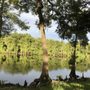 Photo of Camp Anderson Anchored