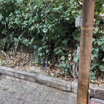 Ortega's Jr Tree Service - Before. - Tree Services Near Me - Riverside , California