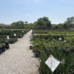 Houston Garden