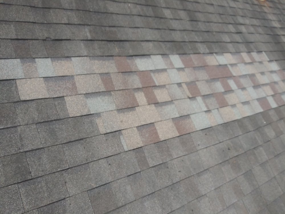 Slide of LA Roof N Patch