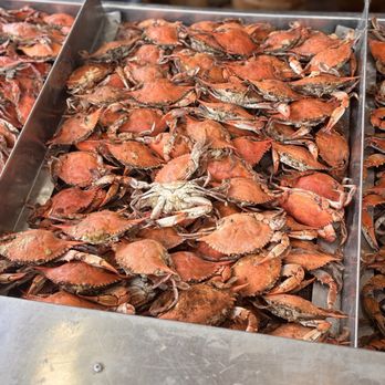 Jessie Taylor Seafood - Seafood Markets Near Me - Washington, DC, District of Columbia Jessie Taylor Seafood - Seafood Markets Near Me - Washington, DC, District of Columbia
