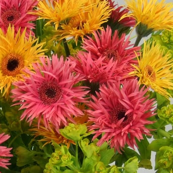 bring blumen berlin - Florists Near Me - Berlin, BE