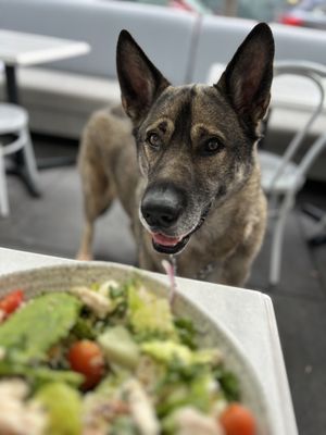 Mendocino Farms by null