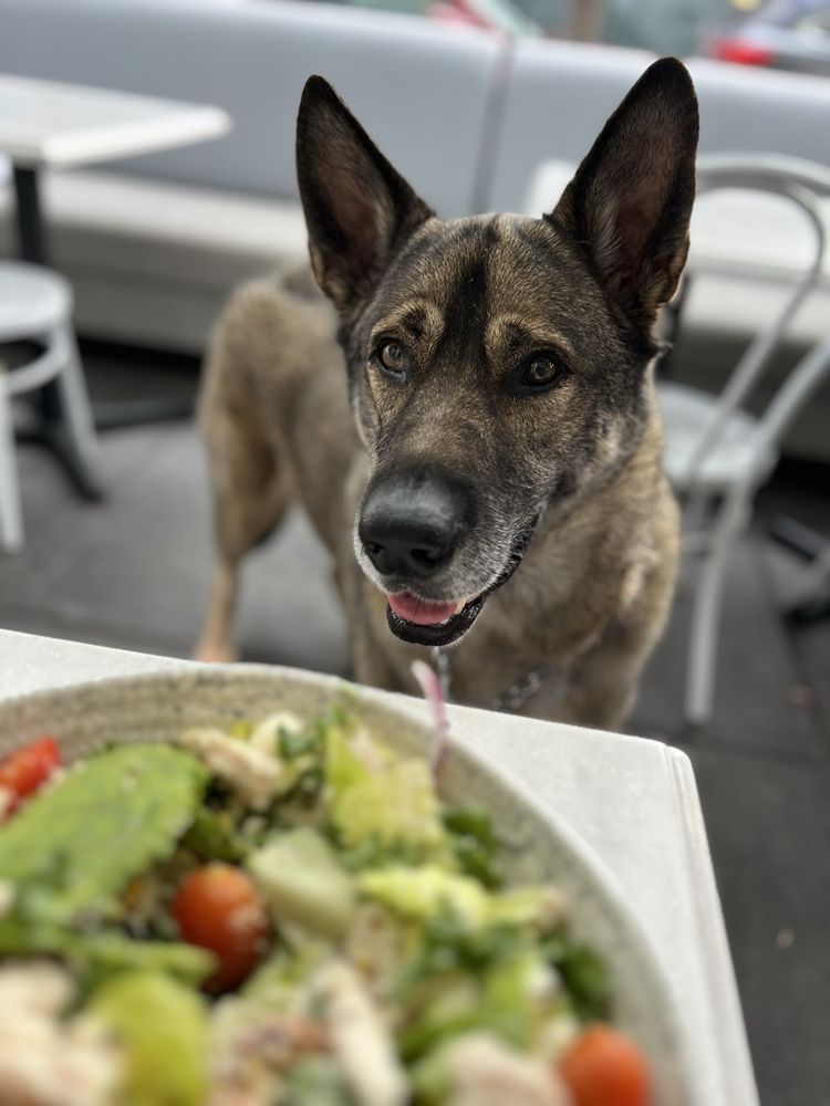 Mendocino Farms