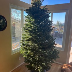 Jamboree Trees - Tree delivered within an hour and set up for us as I would not been able to do that on my own!