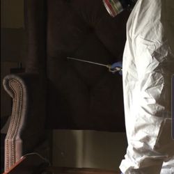 Above & Beyond Bed Bug Removal Exterminators