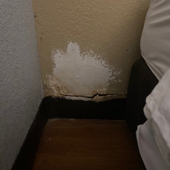 Quality Inn & Suites - Crevice in wall - Hotels Near Me - Mobile, Alabama