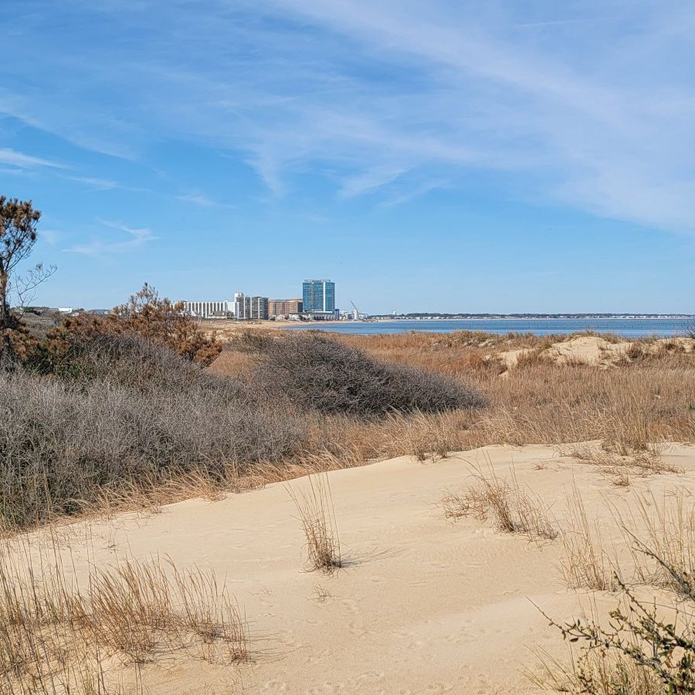 First Landing State Park - Approach to paradise - Parks Near Me - Virginia Beach, Virginia