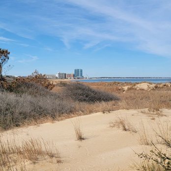 First Landing State Park - Approach to paradise - Parks Near Me - Virginia Beach, Virginia First Landing State Park - Approach to paradise - Parks Near Me - Virginia Beach, Virginia