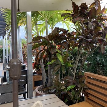 Turco Taco - Outdoor seating - Tacos Near Me - Naples, Florida