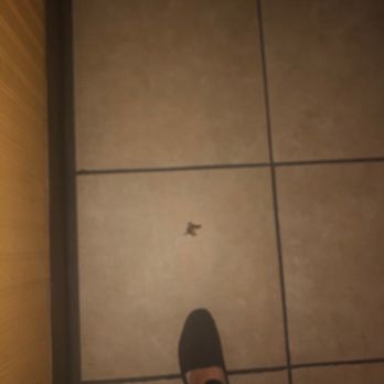 Pizzamania - Roach!! - Pizza Near Me - Long Beach, California Pizzamania - Roach!! - Pizza Near Me - Long Beach, California
