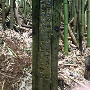 Makiki-Manoa Cliffs Hike - Hiking Near Me - Honolulu, Hawaii