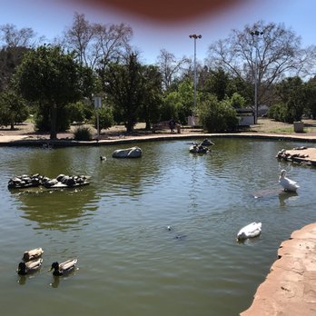 CSUN Pond - Can't we all just get along like the ducks in the turtles - Parks Near Me - Los Angeles, California CSUN Pond - Can't we all just get along like the ducks in the turtles - Parks Near Me - Los Angeles, California