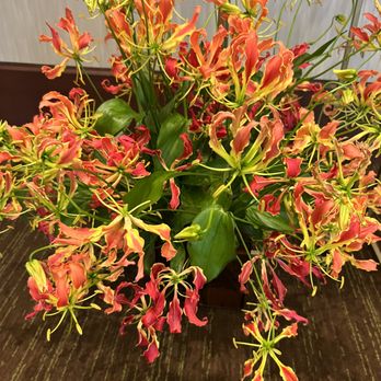 Fabulous Florals - Gloriosa Lilies are available for order placed 10 -14 days in advance . Exquisite in a vase by them selves! - Wholesale Stores Near Me - Carpinteria, California Fabulous Florals - Gloriosa Lilies are available for order placed 10 -14 days in advance . Exquisite in a vase by them selves! - Wholesale Stores Near Me - Carpinteria, California
