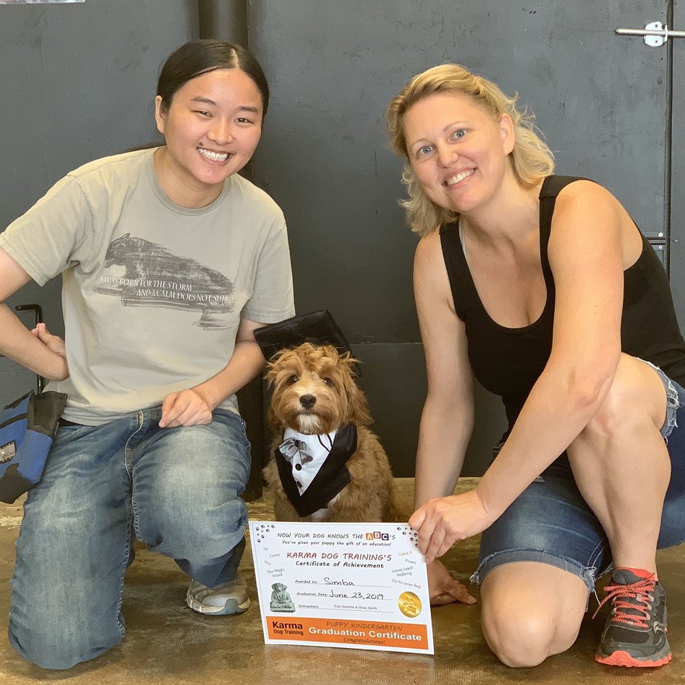 Karma Dog Training - Chloe, Simba and Zion! Zion & Chloe were awesome! - Pet Training Near Me - Austin, Texas Karma Dog Training - Chloe, Simba and Zion! Zion & Chloe were awesome! - Pet Training Near Me - Austin, Texas