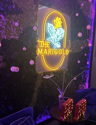 The Marigold by null