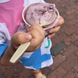 Lewis Brothers Homemade Ice Cream - Black raspberry