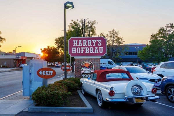 Harry's Hofbrau by null
