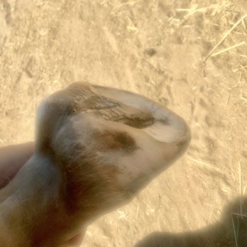 The Other Hoof Guy - Farriers Near Me The Other Hoof Guy - Farriers Near Me