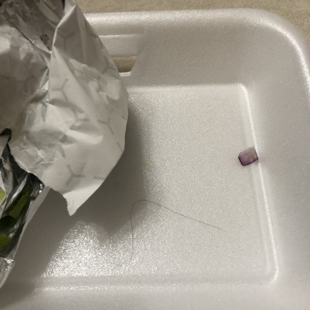 George's Greek Grill - There's the hair that was found in the pita wrap. - Greek Near Me - Mississauga, Ontario
