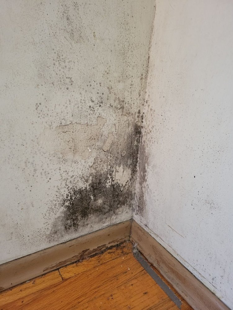 OAK TREE REALTORS Updated September 2024 16 Reviews 1380 Oleander