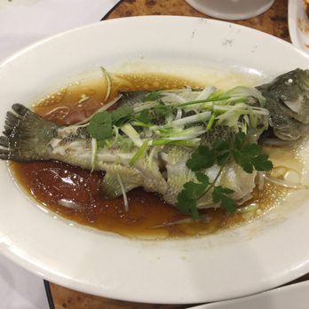 Pacific Lighthouse Restaurant - Dim Sum Near Me - Alameda, California Pacific Lighthouse Restaurant - Dim Sum Near Me - Alameda, California