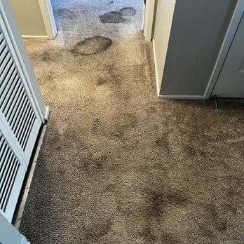 Aaron’s Carpet Cleaning - Before pic - Carpet Cleaning Near Me