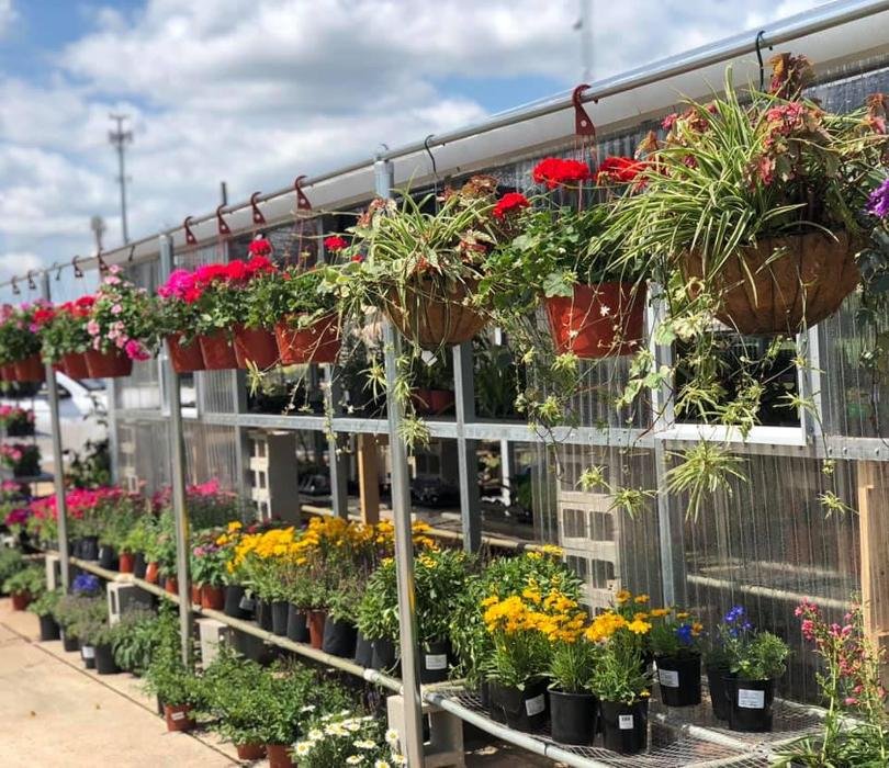 THE PLANT STATION Updated October 2024 10 Photos 9391 Hwy 1