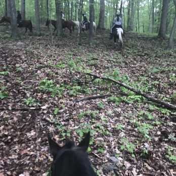 Fort Valley Ranch & Campground - Walking through the woods - Horseback Riding Near Me - Fort Valley, Virginia