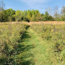 Homestead Hollow County Park