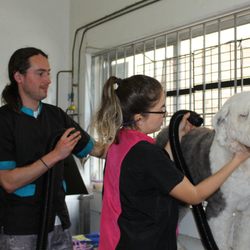 Dawgy Wash & Dayspa - Team work is what keeps us together