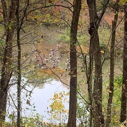 Carrie Murray Nature Center