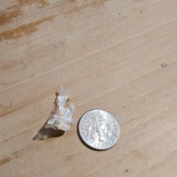 Fairly large piece of plastic that was in my rice and beans, next to a dime for scale.