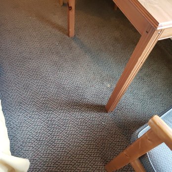 Pellston Lodge - Filthy floors - Hotels Near Me - Pellston, Michigan Pellston Lodge - Filthy floors - Hotels Near Me - Pellston, Michigan