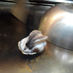 津八見 - Abalone...