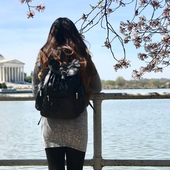 Tidal Basin - Lakes Near Me - Washington, DC, District of Columbia Tidal Basin - Lakes Near Me - Washington, DC, District of Columbia
