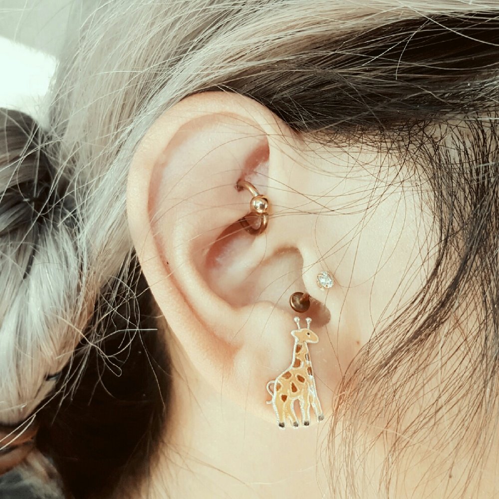 Chief Piercing - Rook piercing done by the lovely Katrina. - Piercing Near Me - Sacramento, California
