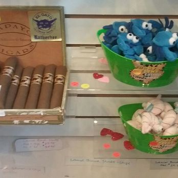 Blue Cat - Great gifts for your furry kids!! - Pet Stores Near Me - Key West, Florida