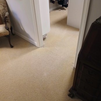 Rhino Carpet Cleaning Services - Carpet Cleaning Near Me - Jefferson, Georgia Rhino Carpet Cleaning Services - Carpet Cleaning Near Me - Jefferson, Georgia