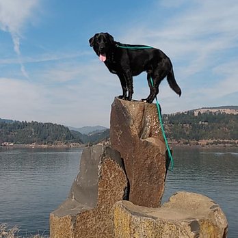 NWB Dogs - Pet Training Near Me - Bingen, Washington NWB Dogs - Pet Training Near Me - Bingen, Washington