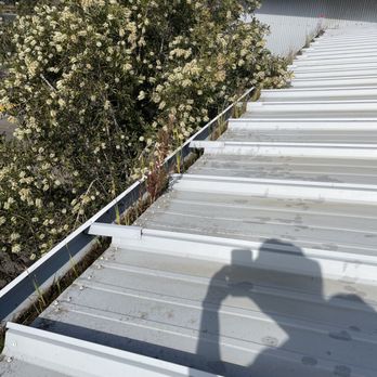Dutch Window Cleaning Artist - Window Washing Near Me - Los Osos, California Dutch Window Cleaning Artist - Window Washing Near Me - Los Osos, California