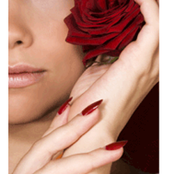 Lash,Wax & Relax