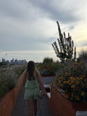 Tall Tales Rooftop Bar by null