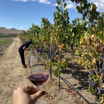 Robledo Family Winery - Wineries Near Me - Sonoma, California