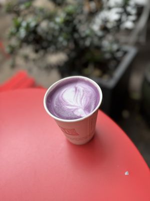 SIGNAL Coffee Roasters by null