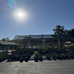 Tom Mansfield Nursery - Plants
