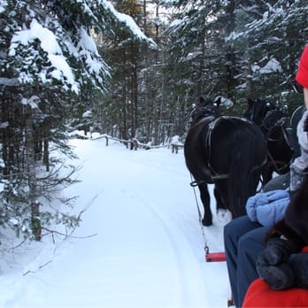Ranch Chez Ti-Gars - Horseback Riding Near Me - Saint-Etienne-De-Lauzon, Quebec Ranch Chez Ti-Gars - Horseback Riding Near Me - Saint-Etienne-De-Lauzon, Quebec