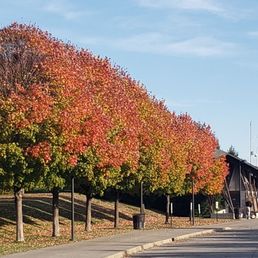 Beautiful fall colors surrounding the Lincoln memorial