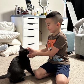 HOWARD COUNTY ANIMAL CONTROL - Updated January 2025 - 15 Photos